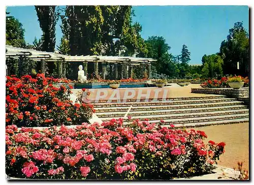 Moderne Karte Lyon Rhone Roseraie parc de la Tete d'Or Statuaire Andre Tajana de Vichy