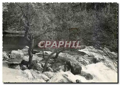 Cartes postales moderne La Fontaine de Vaucluse et son Lac