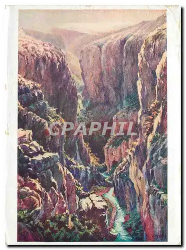 Cartes postales moderne Le Verdon au Bauchees par a Mailfert Musee du Vendon a Castellane