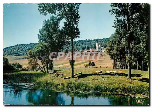 Cartes postales moderne Domremy Bois Chenu La Basilique