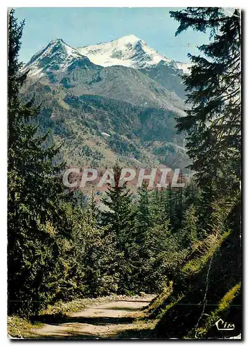 Cartes postales moderne En Tarentaise Savoie Promenade en Foret a Peisey Naneroix Echappee sur le Mont Pourri