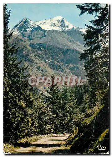 Moderne Karte En Tarentaise Savoie Promenade en Foret a Peisey Naneroix Echappee sur le Mont Pourri