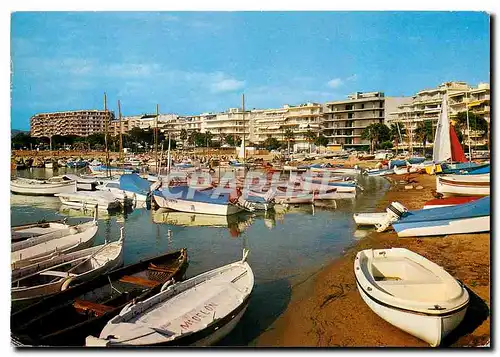 Cartes postales moderne Cannes La Plage et le Petit Port pres du Casino du Palm Beach