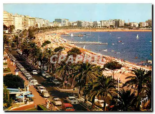 Cartes postales moderne Couleurs et Lumiere de France La Cote d'Azur miracle de la nature Cannes Alpes Maritimes La Croi