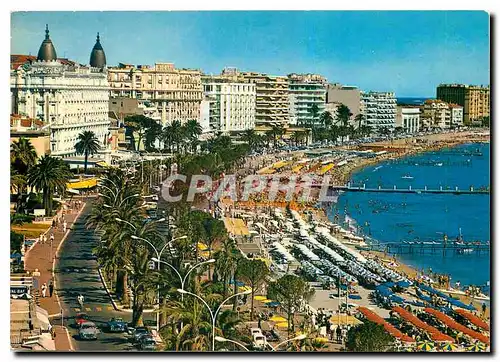 Cartes postales moderne La Cote d'Azur Cannes Les Palaces de la Croisette