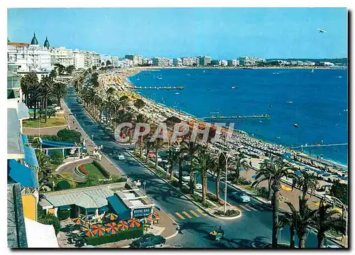 Cartes postales moderne La Cote d'Azur Cannes La Croisette