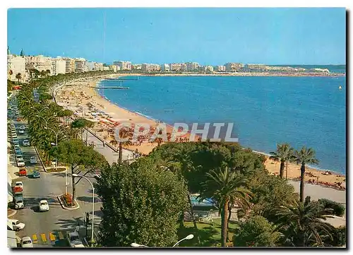 Moderne Karte Cannes La Promenade de la Croisette