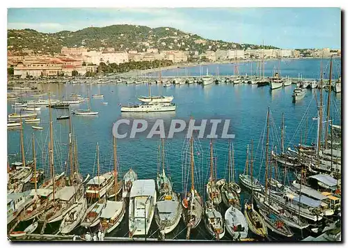 Cartes postales moderne Cannes Un coin du Port Dans le fond la Promenade de la Croisette