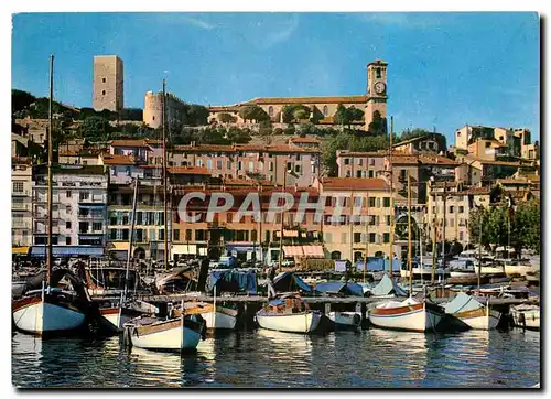 Cartes postales moderne Cannes Un coin du Port le Quai St Pierre et le Suquet