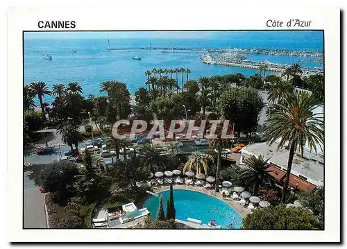 Cartes postales moderne Cannes Cote d'Azur La piscine du Majestic avec vue sur la Croisette le port et l'Esterel