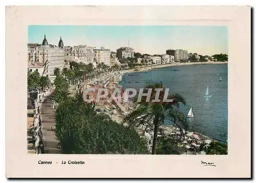 Cartes postales moderne La Cote d'Azur Cannes La Croisette