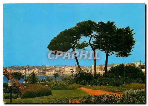 Cartes postales moderne Cannes Vue generale prise depuis les Jardins du Palm Beach