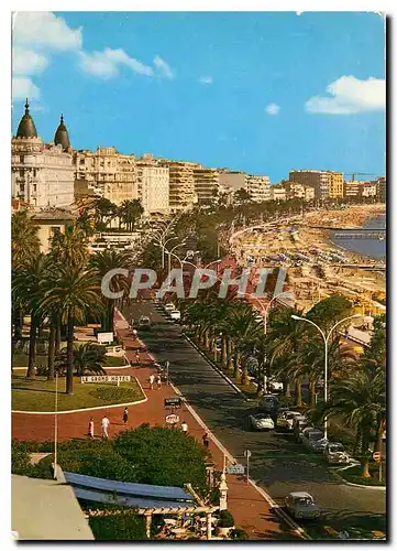 Moderne Karte Cannes La Promenade de la Croisette