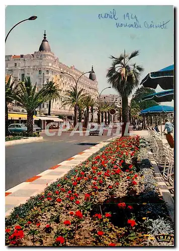 Cartes postales moderne La Cote d'Azur Cannes A M La Croisette Le Carilan