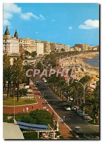 Cartes postales moderne Cannes La Promenade de la Croisette