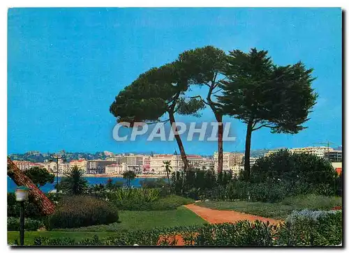 Cartes postales moderne Cannes Vue generale prise depuis les Jardins du Palm Beach