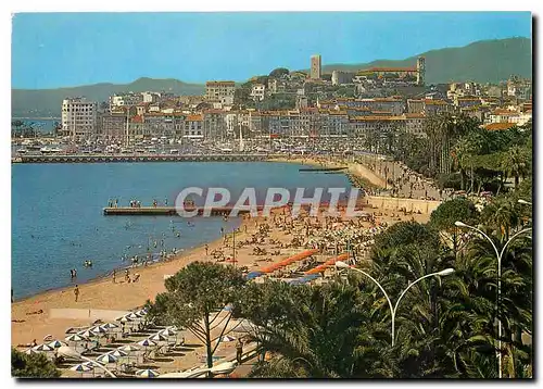 Cartes postales moderne Cannes Une partie de la nouvelle Plage le Quai St Pierre et le Suquet