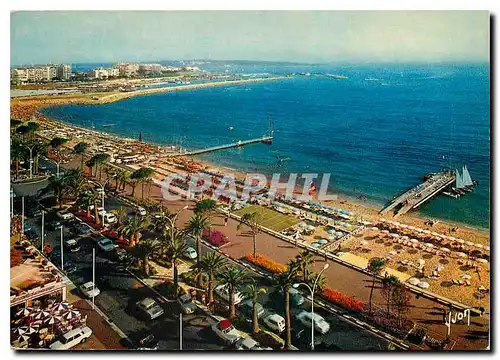 Cartes postales moderne Couleurs et Lumiere de France La Cote d'Azur miracle de la nature Cannes Alpes Maritimes La Croi