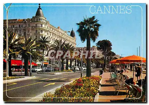 Cartes postales moderne La Cote d'Azur Cannes La Croisette et l'Hotel Carlton