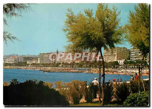 Cartes postales moderne Cannes Une partie de la Croisette vue prise depuis les jardins du Palm Beach