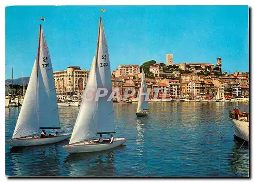 Cartes postales moderne Les Sites Merveilleux de la Cote d'Azur Cannes A M Le Depart des Regates