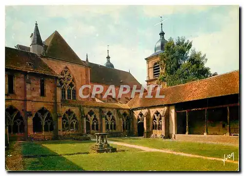 Cartes postales moderne Couleurs et Lumiere de France Les Vosges Saint Die Vosges Le Cloitre gothique et la Cathedrale