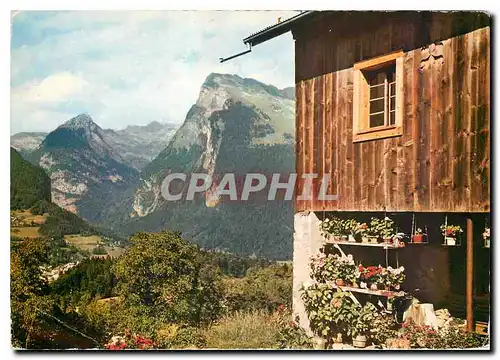 Cartes postales moderne Samoens Hte Savoie En promenade a Verelaud Plus au fond le Criou