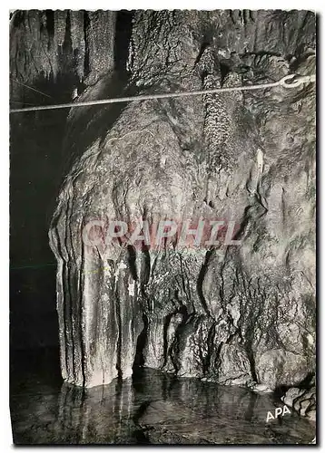 Cartes postales moderne Foix Riviere Souterraine de Labouiche L'Elephant