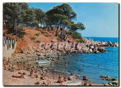 Cartes postales moderne Bandol Le Camping Municipal et la petite plage du Capelan