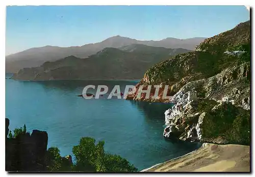 Cartes postales moderne La Corse Ile de Beaute Golfe de Porto La plage