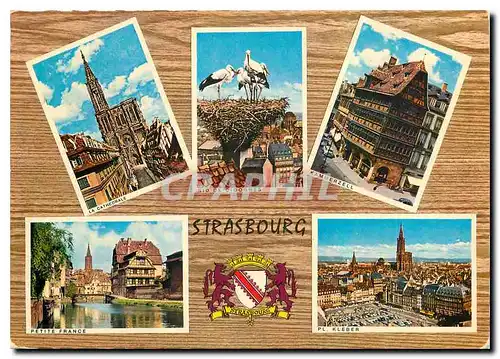 Cartes postales moderne Strasbourg