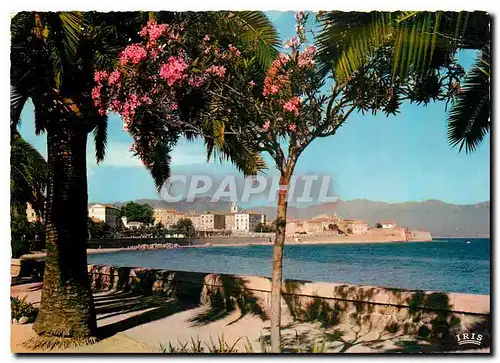 Moderne Karte Charmes et Couleurs de la Corse Ajaccio Vue prise du Boulevard Lantivy