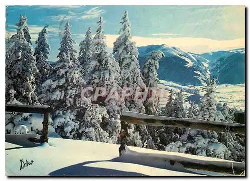 Cartes postales moderne Lumiere & Couleurs des Pyrenees Matin d'Hiver