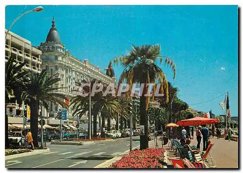 Moderne Karte Cote d'Azur Cannes Alpes Maritimes La Croisette et l'Hotel Carlton Luxe