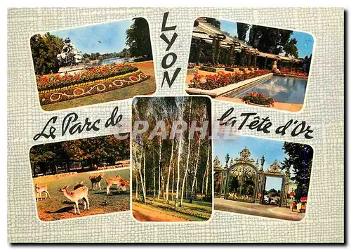 Cartes postales moderne Lyon Le Parc de la Tete d'Or Le Lac La roseraie le troupeau de daims le bois de bouleaux les gri