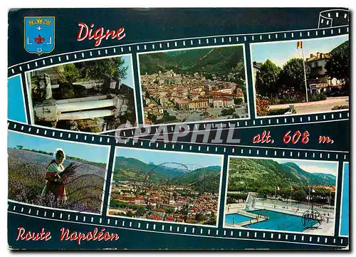Cartes postales moderne Digne Capitale de la Lavande Les Thermes Vue generale et le Pont sur la Bleone Le Rond Point Cha
