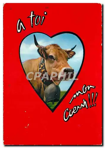 Cartes postales moderne Vache