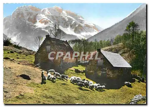 Moderne Karte Les Pyrenees Bergers au fond le Massif des Bizourteres