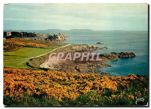 Cartes postales moderne La Bretagne La Cote a Ploumanach C du N