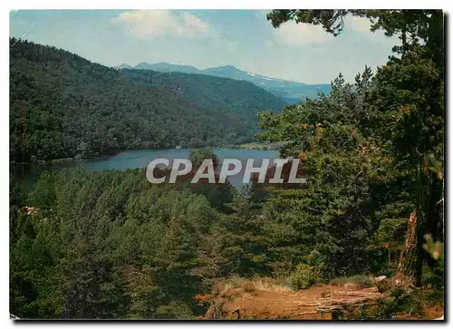 Cartes postales moderne l'Auvergne Pittoresque Le Lac Chambon au milieu des bois