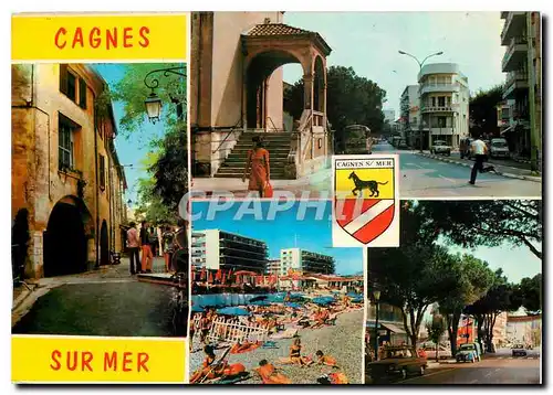 Cartes postales moderne Au soleil de la Cote d'Azur Cagnes sur Mer