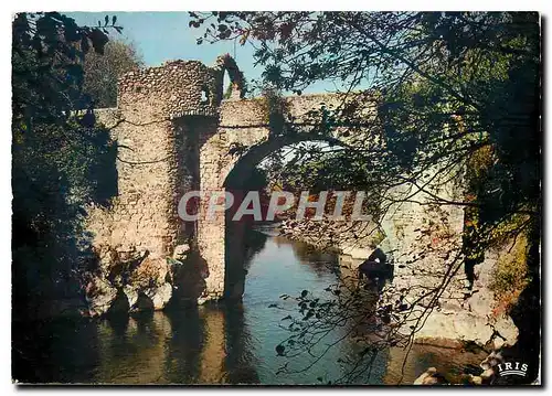 Cartes postales moderne l'Ariege Touristique Le Pont du Diable entre Tarascon et Foix