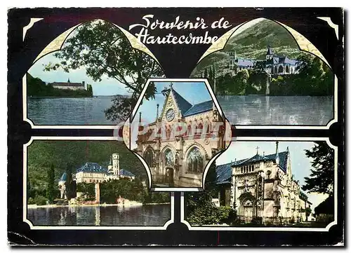 Cartes postales moderne Abbaye d'Hautecombe et Lac du Bourget Fondee par St Bernard