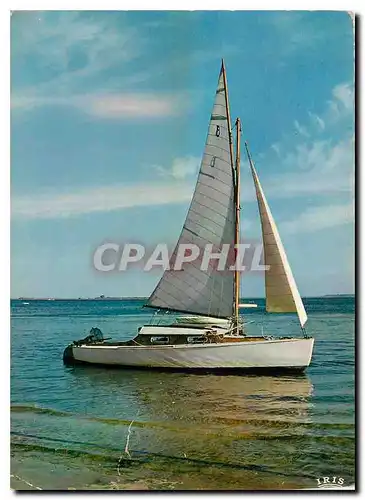 Cartes postales moderne Voilier