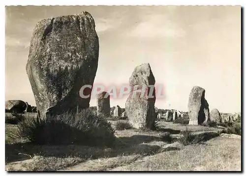 Cartes postales moderne Carnac Morbihan Alignements megalithiques du Menec