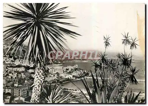 Cartes postales moderne Monaco Vue generale de la Principaute