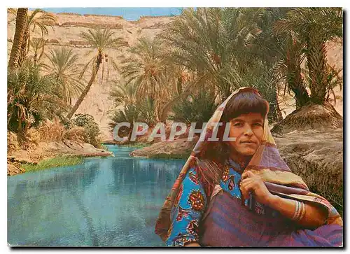 Cartes postales moderne Oasis tunisienne Femme