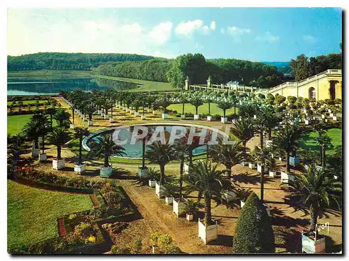 Cartes postales moderne Couleurs et Lumiere de France Chateau de Versailles Yvelines Le Jardin de l'Orangerie et la Piec