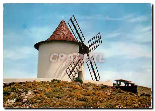 Cartes postales moderne Charmes et Couleurs de la Corse Cap Corse Le Moulin Mattei