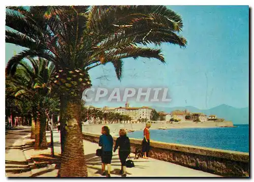 Cartes postales moderne Ajaccio Corse Boulevard Lantivy